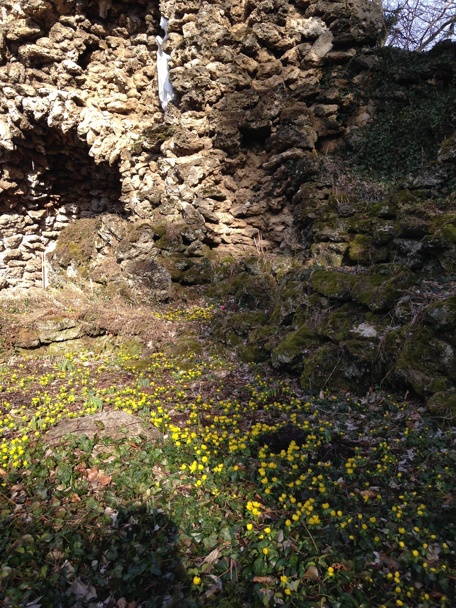 12771764_10153934629162801_7348857197195972319_o